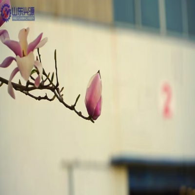 “植”此青绿，共“树”未来 - 山东兴源机械积极开展植树节活动，厚植绿色发展底色